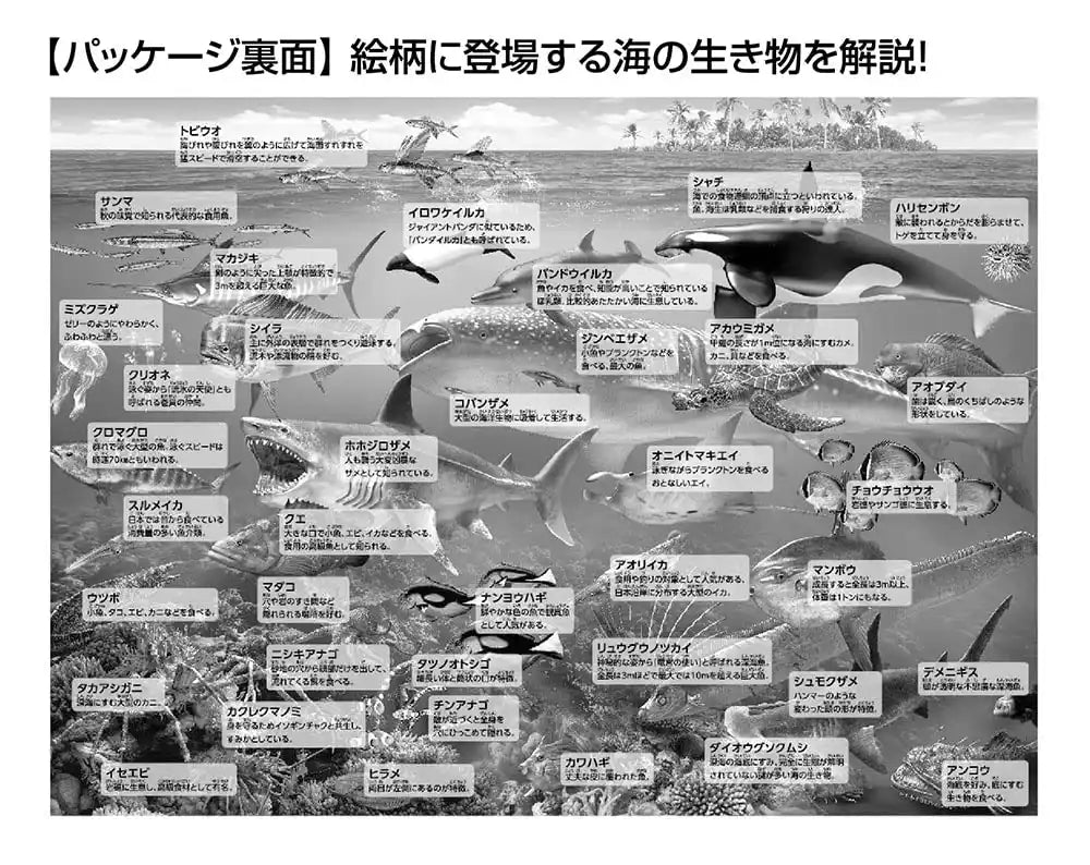 BEVERLY 100-029 Jigsaw Puzzle Let'S Learn The Sea Animals In Japanese 100 L-Pieces- Japan Figure Store - #1 Bring To You The Best Japanese Goods