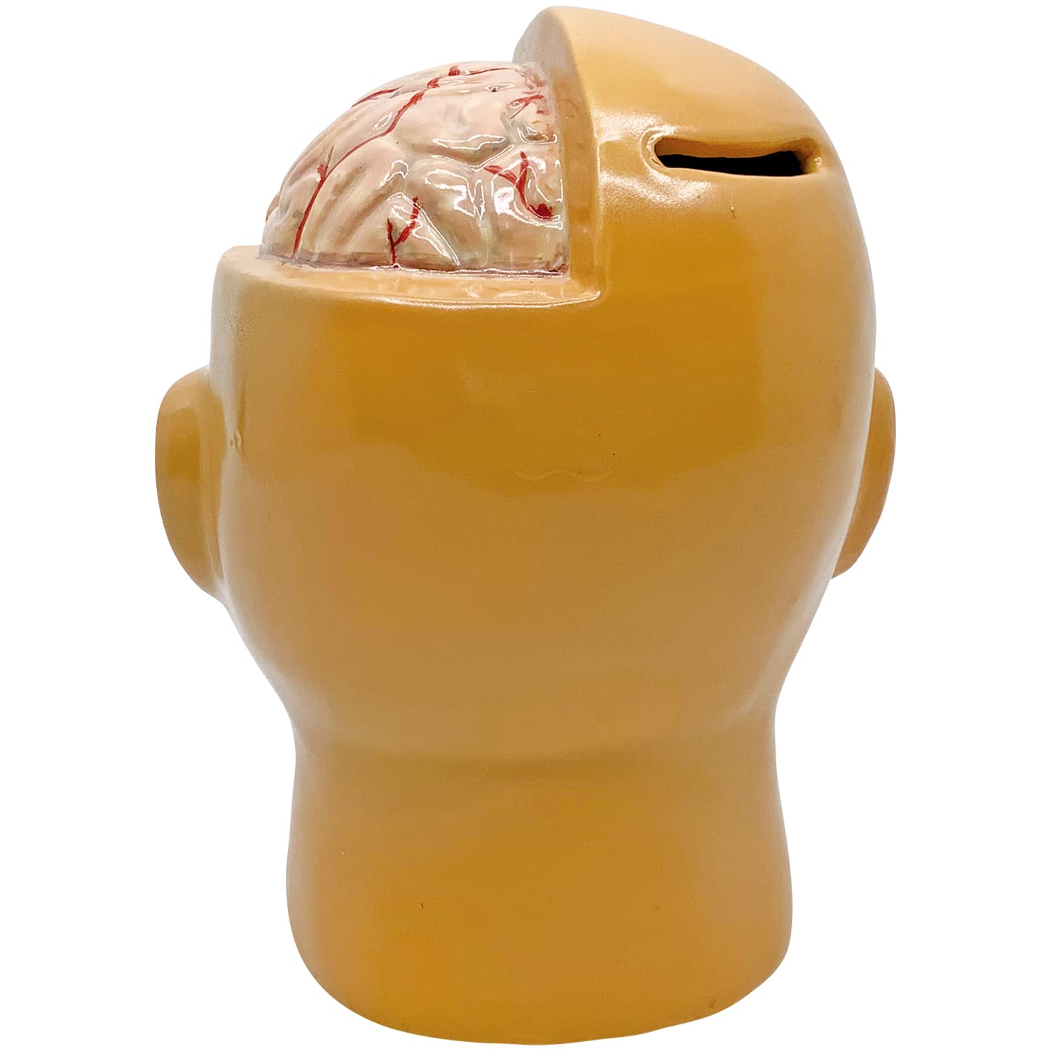 Sun Art Human Anatomy Model Piggy Bank 13cm SAN4085