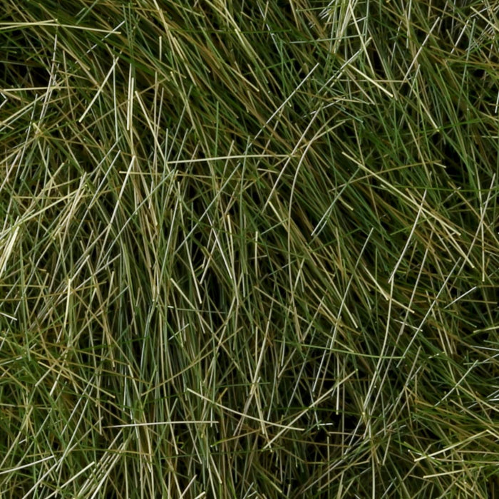 Kato N Gauge Tatsujinshiba Blend 9Mm 24-451 Railway Model Supplies- Japan Figure Store - #1 Bring To You The Best Japanese Goods