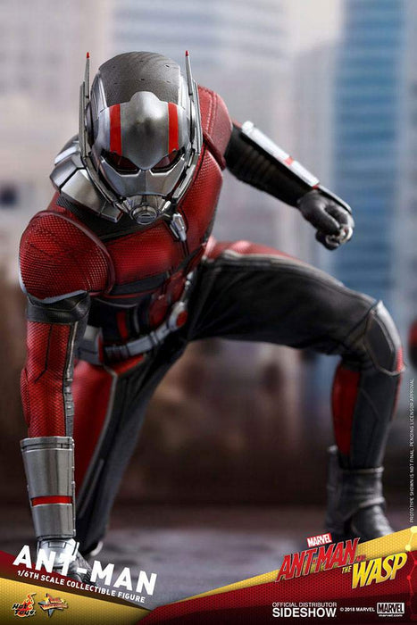 Hot Toys Movie Masterpiece Ant-Man and The Wasp 1/6 Scale Ant-Man Figure- Japan Figure Store - #1 Bring To You The Best Japanese Goods