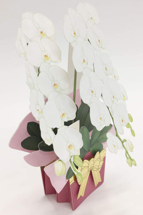 Sanrio Celebration Butterfly Pop-Up Card CR31-8 L 231- Japan Figure Store - #1 Bring To You The Best Japanese Goods