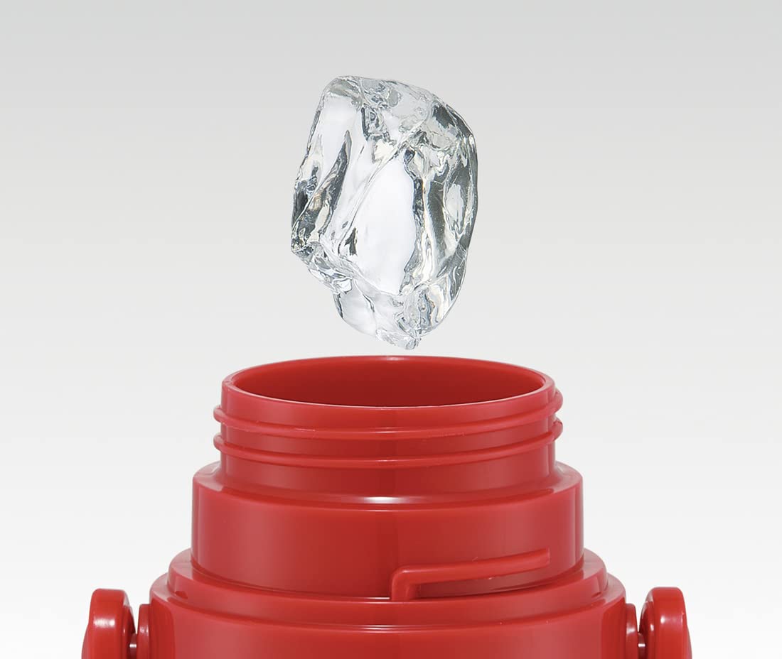 Skater Kids Pokemon 22 2-Way Stainless Steel Water Bottle 580ml with Cup For Boys Skdc6-A- Japan Figure Store - #1 Bring To You The Best Japanese Goods