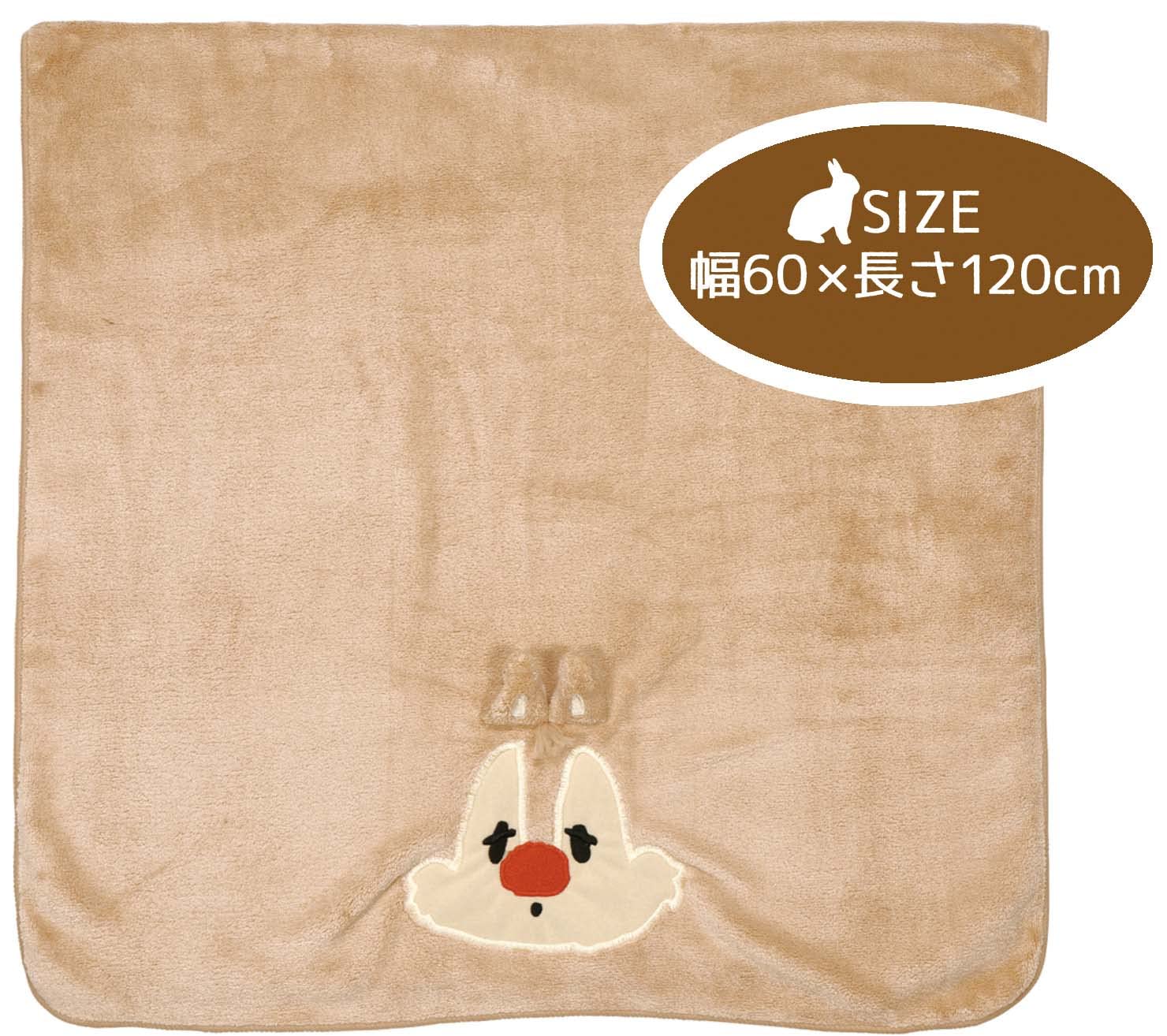 Skater Quick-Drying Absorbent Bath Towel Disney Dale Design Size 60x120cm- Japan Figure Store - #1 Bring To You The Best Japanese Goods