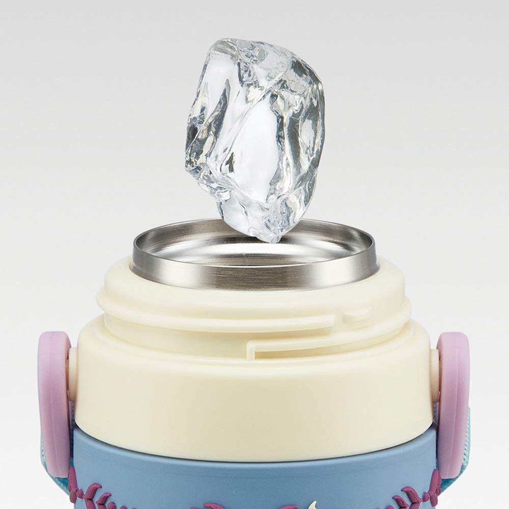 Skater Disney Frozen 2 Water Bottle - 3D Pattern Stainless Steel for Kids 480ml- Japan Figure Store - #1 Bring To You The Best Japanese Goods