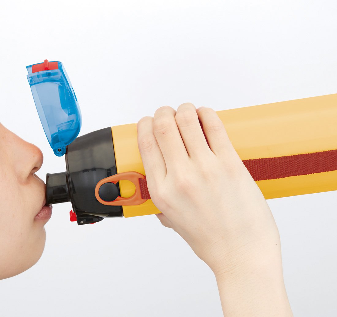 Skater 580ml Stainless Steel Water Bottle for Kids - Snack World Series Sdc6N- Japan Figure Store - #1 Bring To You The Best Japanese Goods