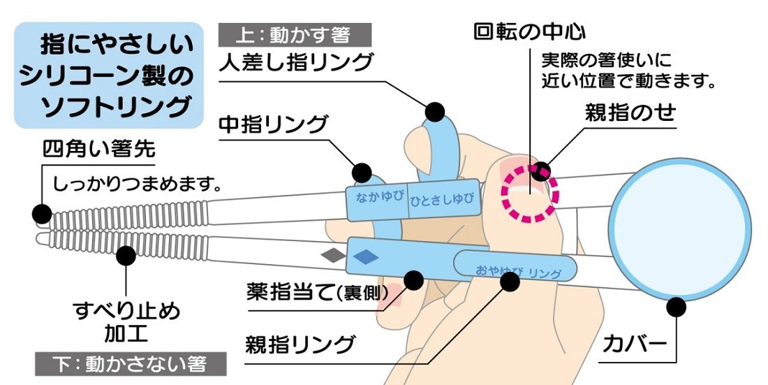 Skater Kids Training Chopsticks 14cm with Case - Right-Handed Easy Grip Suitable for Ages 2-7- Japan Figure Store - #1 Bring To You The Best Japanese Goods