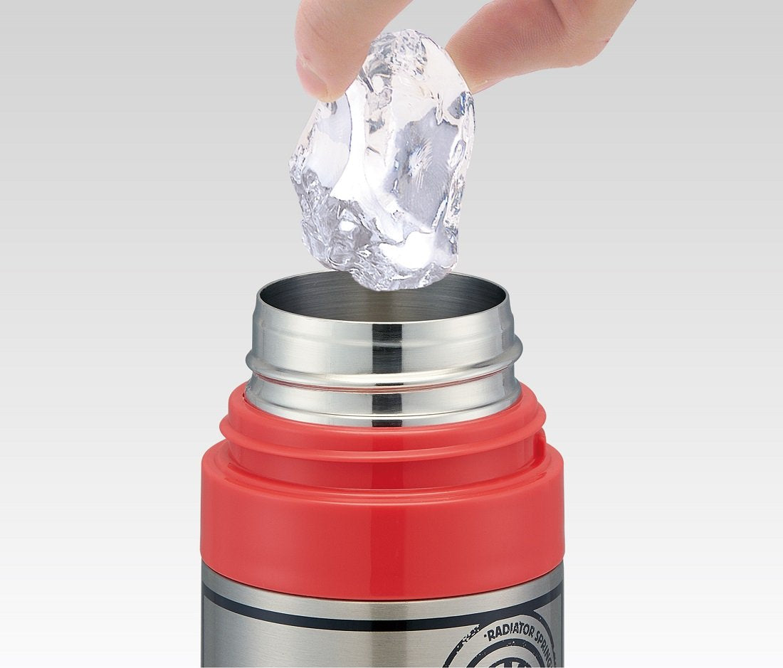 Skater Stainless Steel Water Bottle with Cover Disney Cars 17 470ml- Japan Figure Store - #1 Bring To You The Best Japanese Goods