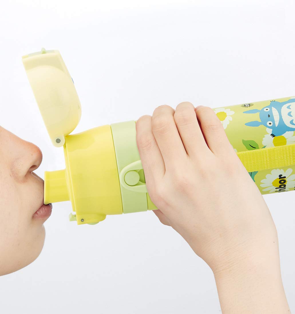 Skater 470ml Stainless Steel Sports Water Bottle for Children - My Neighbor Totoro Daisy Design- Japan Figure Store - #1 Bring To You The Best Japanese Goods
