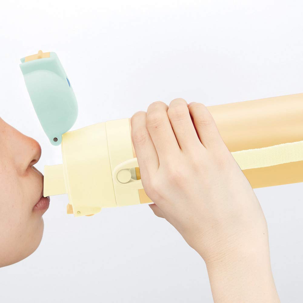 Skater Totoro Vegetable Color Ghibli 470ml Stainless Steel Children's Water Bottle- Japan Figure Store - #1 Bring To You The Best Japanese Goods