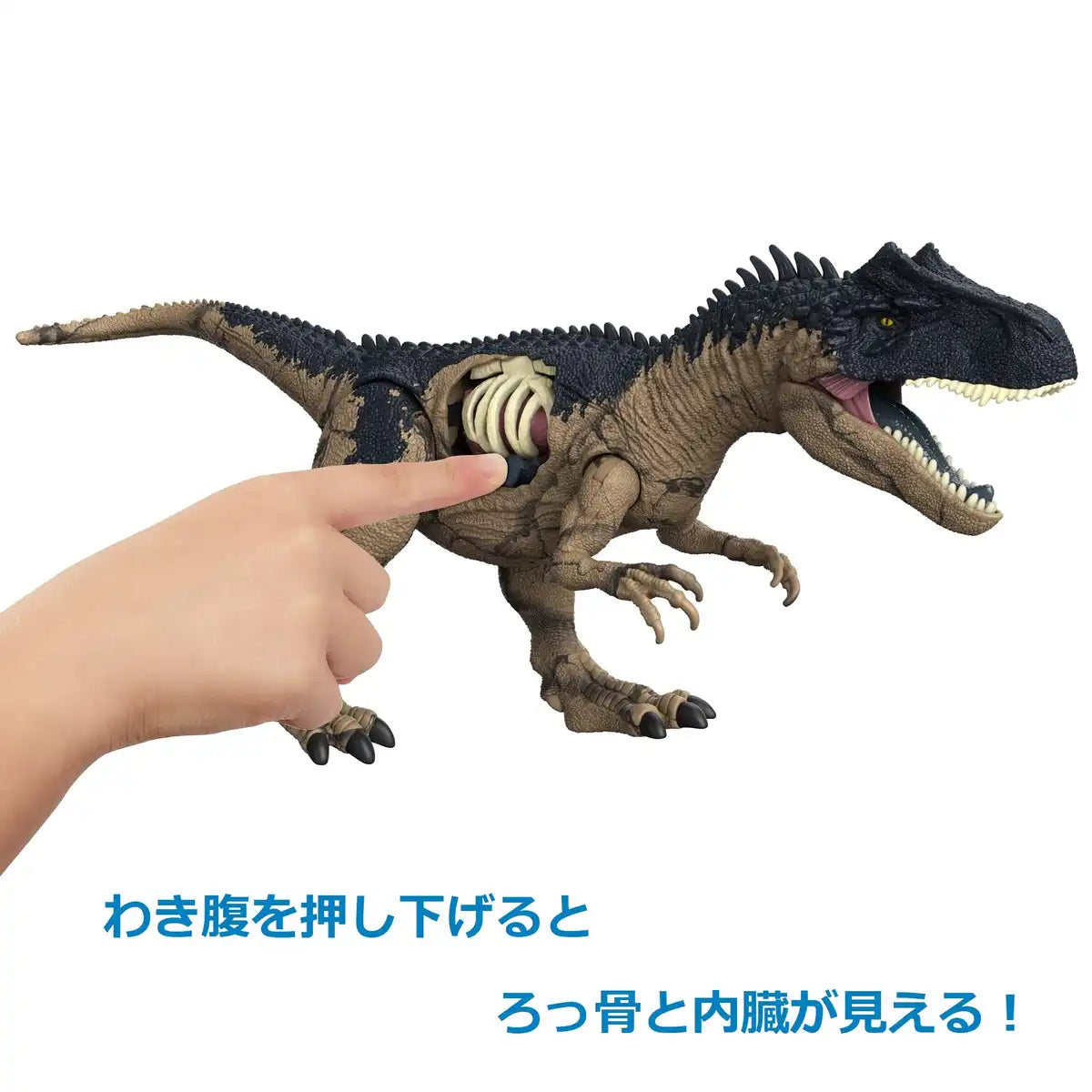 Matel Jurassic World Hfk06 New Ruler Damage Beige Japanese Action Figures Dinosaur Models- Japan Figure Store - #1 Bring To You The Best Japanese Goods