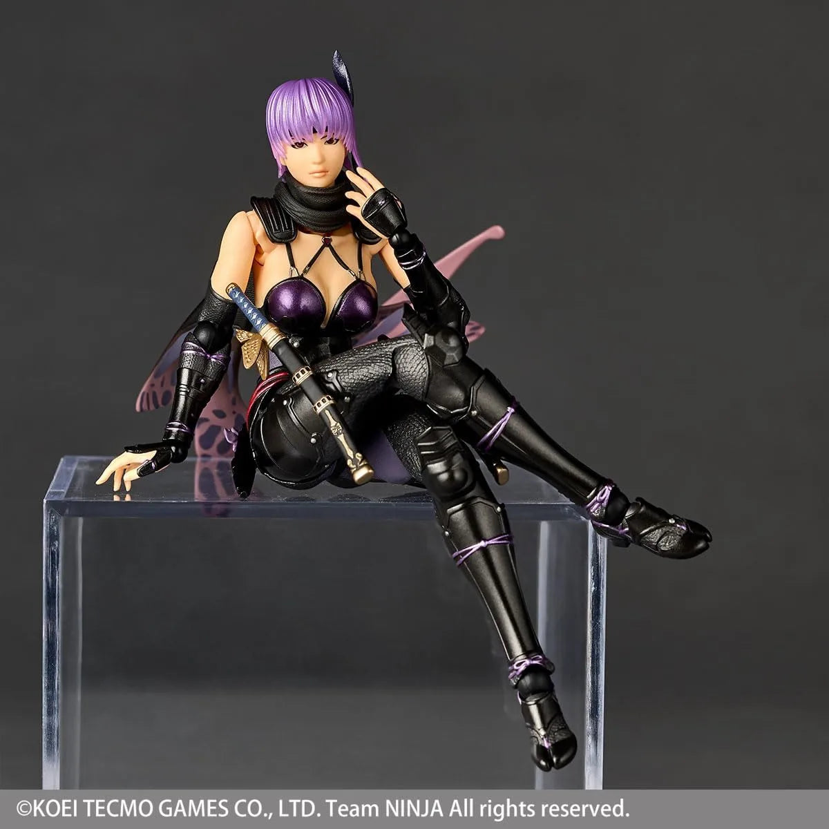 Kaiyodo Ninja Gaiden Ayane Action Figure Revoltech Poseable Toy