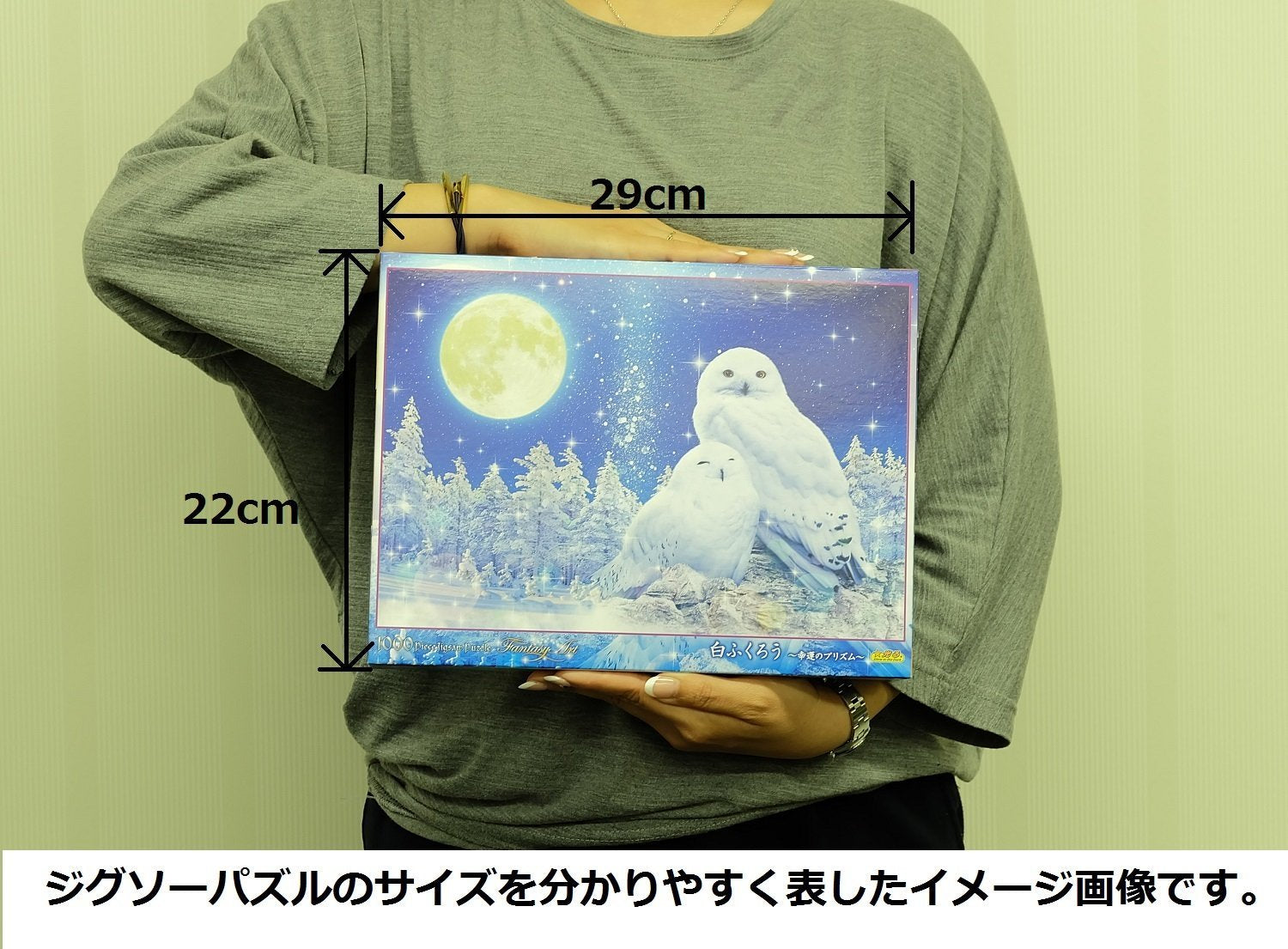 BEVERLY Jigsaw Puzzle 91-129 Glows In The Dark Wilfar Lucky White Owl 1000 Pieces- Japan Figure Store - #1 Bring To You The Best Japanese Goods