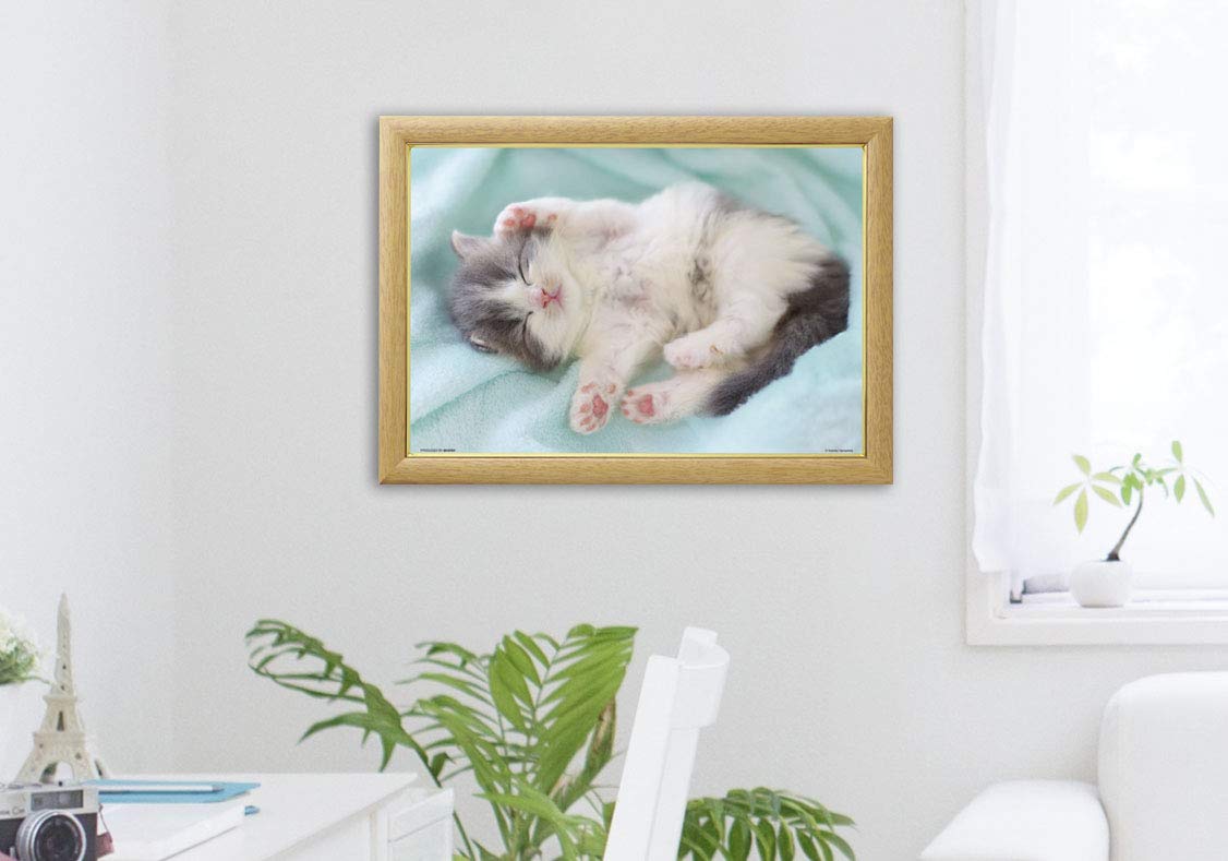 Beverly Jigsaw Puzzle P33-157 Pet Cat Nap Time (300 Pieces) Animal Jigsaw Puzzle- Japan Figure Store - #1 Bring To You The Best Japanese Goods