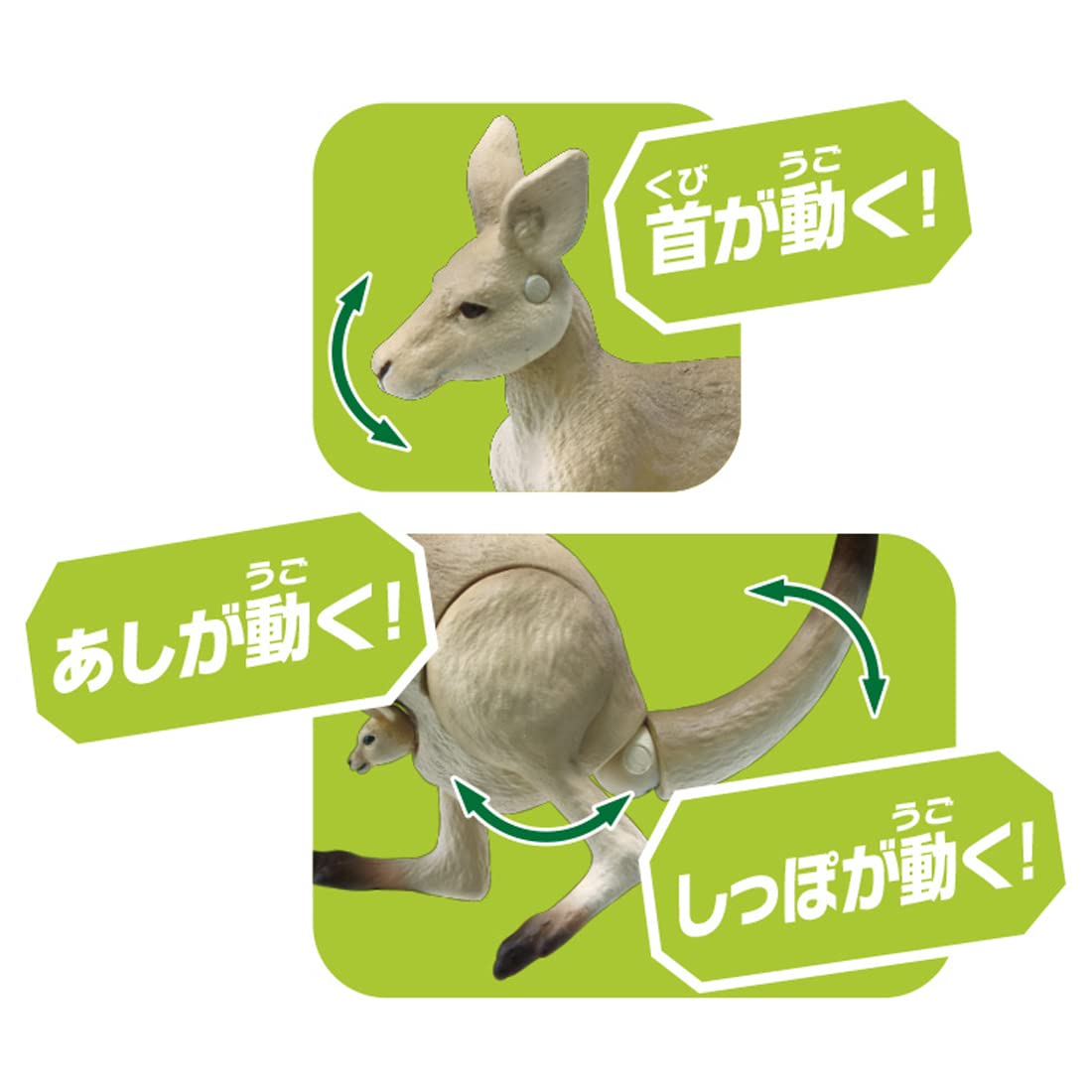 TAKARA TOMY Ania As-21 Eastern Grey Kangaroo- Japan Figure Store - #1 Bring To You The Best Japanese Goods