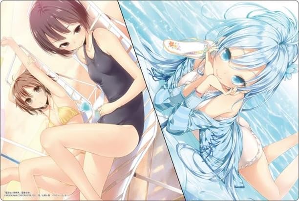Bushiroad V2 Vol.1066 Dengeki Bunko Denpa Onna Seishun Otoko Erio/Ryuko/Maekawa- Japan Figure Store - #1 Bring To You The Best Japanese Goods