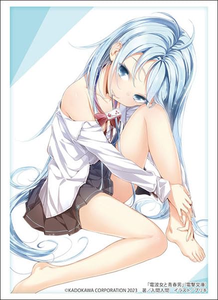 Bushiroad Sleeve Collection HG Vol.4046 DB Denpa Onna Seishun Otoko Fujiwa Erio Pt.2- Japan Figure Store - #1 Bring To You The Best Japanese Goods