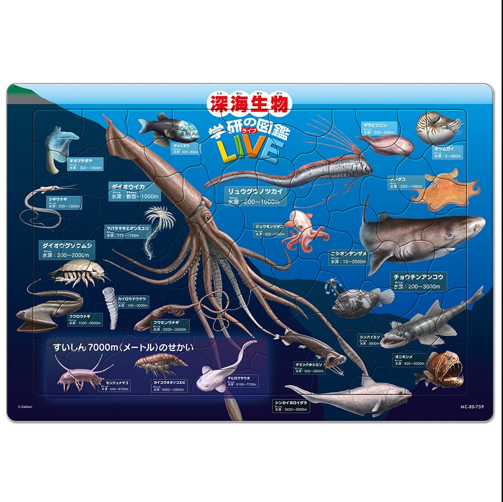 TENYO Jigsaw Puzzle Deep Sea Creatures W/ Japanese Names 80 Pieces Child Puzzle- Japan Figure Store - #1 Bring To You The Best Japanese Goods