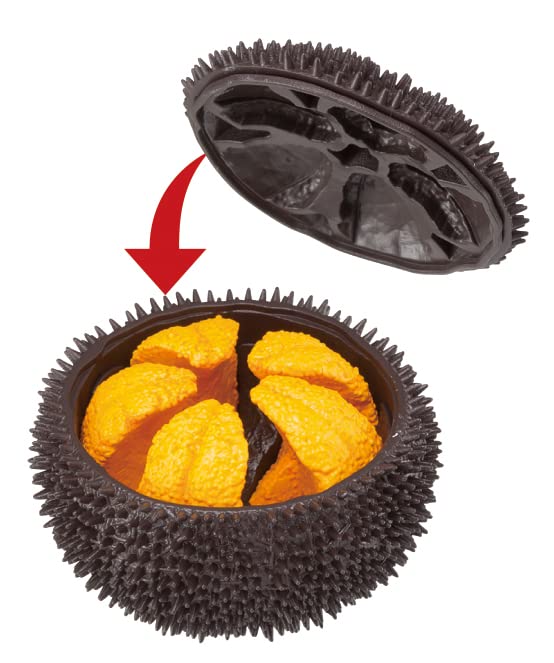 Megahouse Sea Urchin Kaitai Puzzle Series Buy Self-Assembly Food Puzzle Made In Japan- Japan Figure Store - #1 Bring To You The Best Japanese Goods