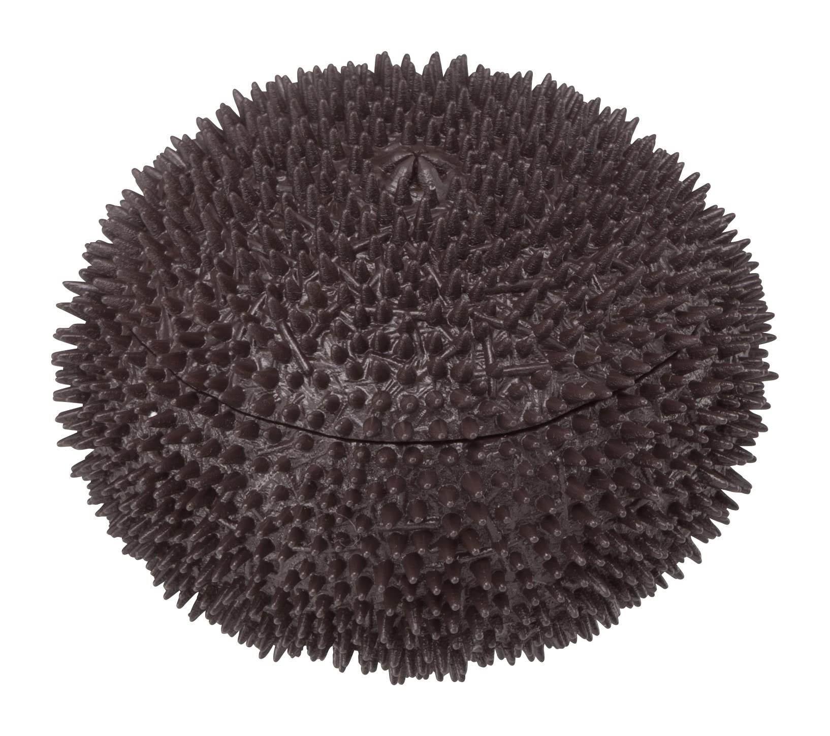 Megahouse Sea Urchin Kaitai Puzzle Series Buy Self-Assembly Food Puzzle Made In Japan- Japan Figure Store - #1 Bring To You The Best Japanese Goods