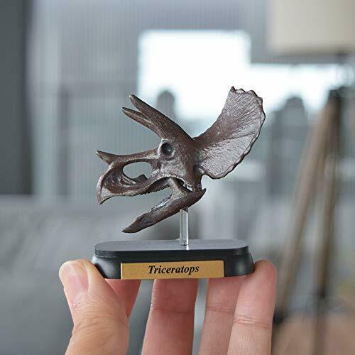Dinosaur Triceratops Skull Mini Model Fdw-502- Japan Figure Store - #1 Bring To You The Best Japanese Goods