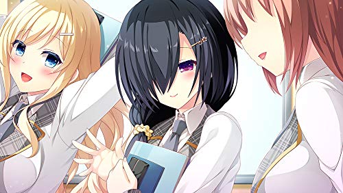 Entergram E School Life Nintendo Switch - New Japan Figure 4935066602898 6