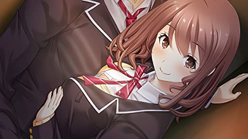 Entergram Full Kiss Ss For Nintendo Switch - New Japan Figure 4935066604021 2