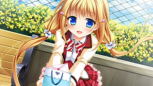 Entergram Hanasaki Work Spring Sony Ps Vita New