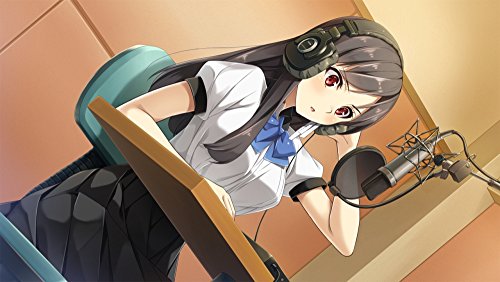 Entergram Ninki Seiyuu No Tsukurikata Ps Vita Sony Playstation - New Japan Figure 4935066600825 1