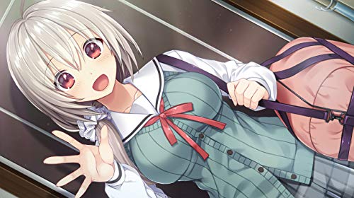 Entergram Oni Ama: Watashi Ni Amaete, Oniichan For Sony Playstation Ps4 - New Japan Figure 4935066603727 3