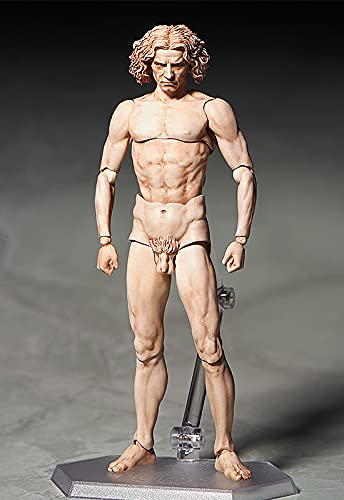 Figma Table Museum Vitruvian Human Figure Non-Scale Abs Pvc Painted Movable Figure Secondary Resale- Japan Figure Store - #1 Bring To You The Best Japanese Goods