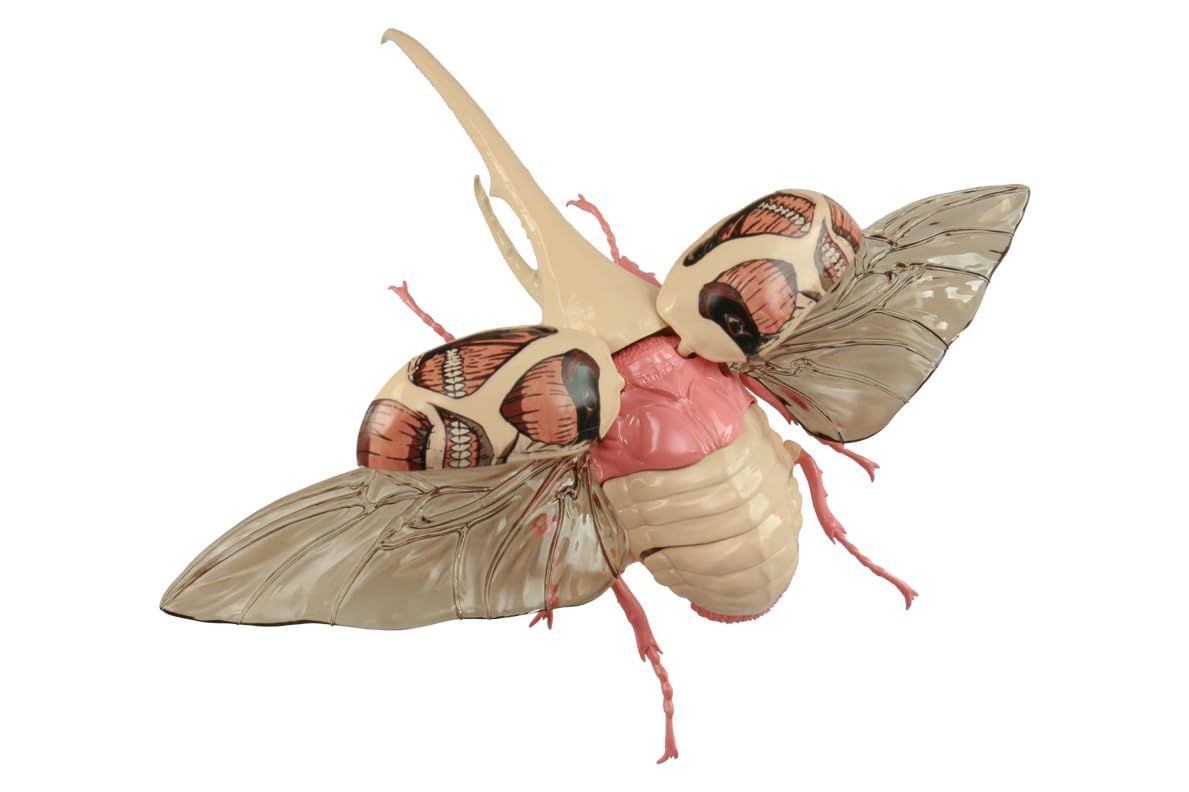 Fujimi Model Attack On Titan Hercules Beetle Colossal Titan Plastic Model - Japan Free Research Series No.262- Japan Figure Store - #1 Bring To You The Best Japanese Goods