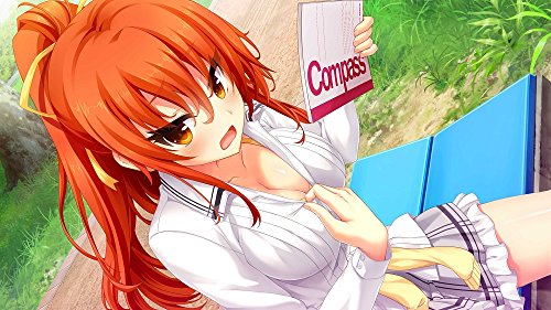 Harukaze Nora To Oujo To Noraneko Heart Nintendo Switch - New Japan Figure 4580240060850 7