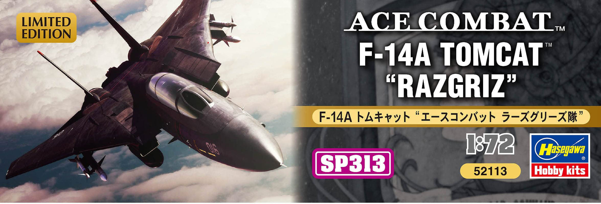 Hasegawa 1/72 F-14A Tomcat Ace Combat Razgriz Corps Japan Sp313- Japan Figure Store - #1 Bring To You The Best Japanese Goods