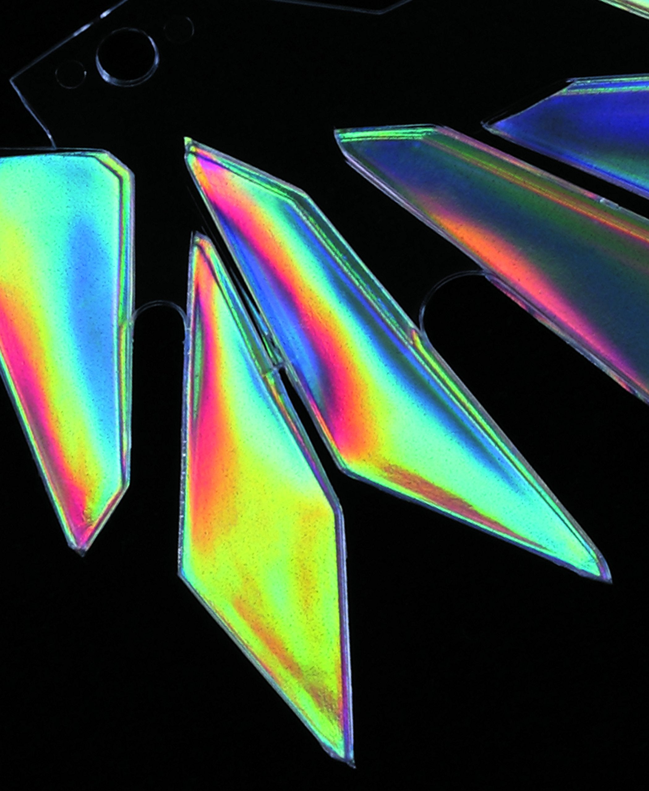 HASEGAWA Tf-14 Hologram Finish 1 Sheet 90 X 200Mm- Japan Figure Store - #1 Bring To You The Best Japanese Goods