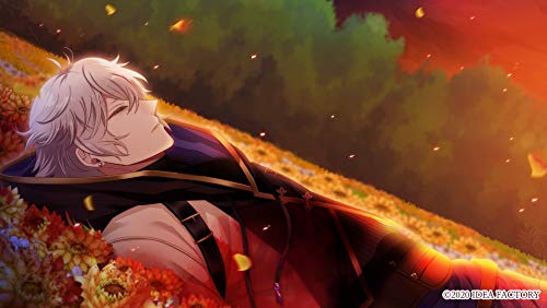 Idea Factory Tokeijikake No Apocalypse Nintendo Switch - New Japan Figure 4995857096701 5