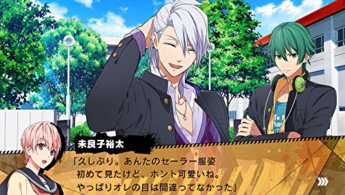 Kenka Banchou Otome Kanzen Muketsu No My Honey Ps Vita Sony Playstation - New Japan Figure 4940261514693 3