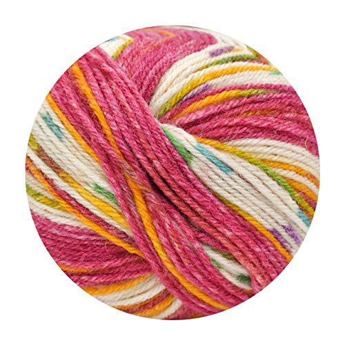 Opal Peace Socks Knitting Kit With Needles - Little Red Riding Hood (Kfs112) From Japan- Japan Figure Store - #1 Bring To You The Best Japanese Goods