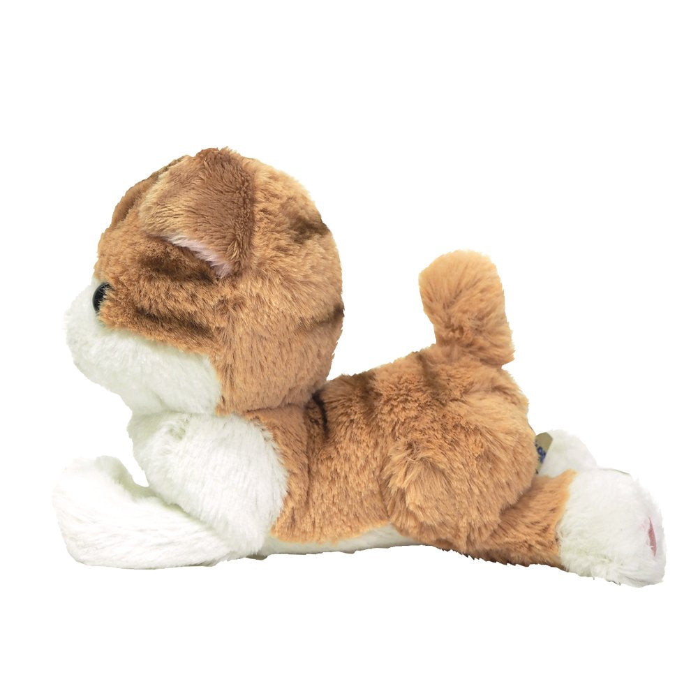 Plush Doll Kitten Scottish Fold Brown Size S- Japan Figure Store - #1 Bring To You The Best Japanese Goods