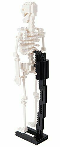 Nanoblock Human Skeleton Nbm014- Japan Figure Store - #1 Bring To You The Best Japanese Goods
