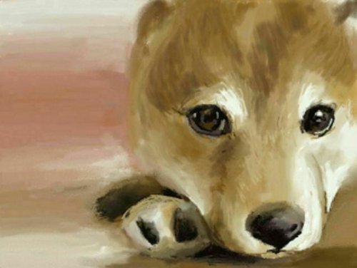 Nintendo Shin Egokoro Kyoushitsu 3Ds - New Japan Figure 4902370519754 12