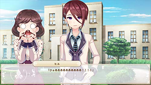 Nippon Ichi Software Bokuhime Project Sony Playstation 4 - New Japan Figure 4995506003296 3