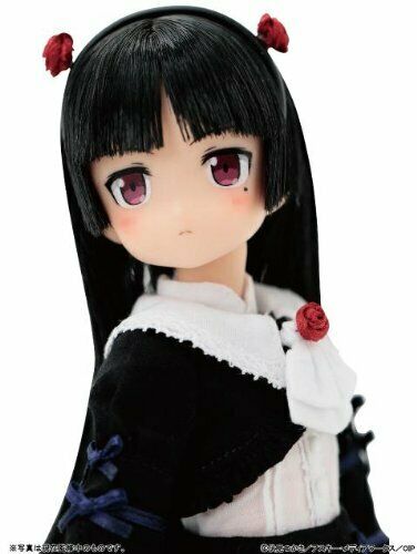 Ore No Imouto Ga Konna Ni Kawaii Wake Ga Nai Kuroneko 1/6 Pure Neemo No.039 Doll- Japan Figure Store - #1 Bring To You The Best Japanese Goods