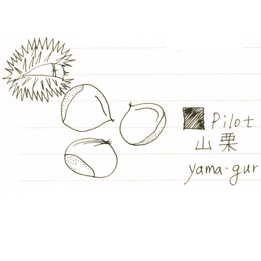 PILOT Fountain Pen Ink Iroshizuku Yama-Guri Ink-50-Yg- Japan Figure Store - #1 Bring To You The Best Japanese Goods