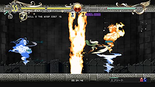 Playism Record Of Lodoss War: Deedlit In Wonder Labyrinth For Nintendo Switch - Pre Order Japan Figure 4589794580258 3