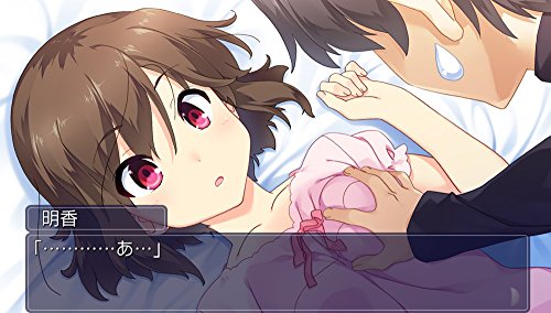 Prototype Himawari Pebble In The Sky Psvita - Used Japan Figure 4580206270491 4