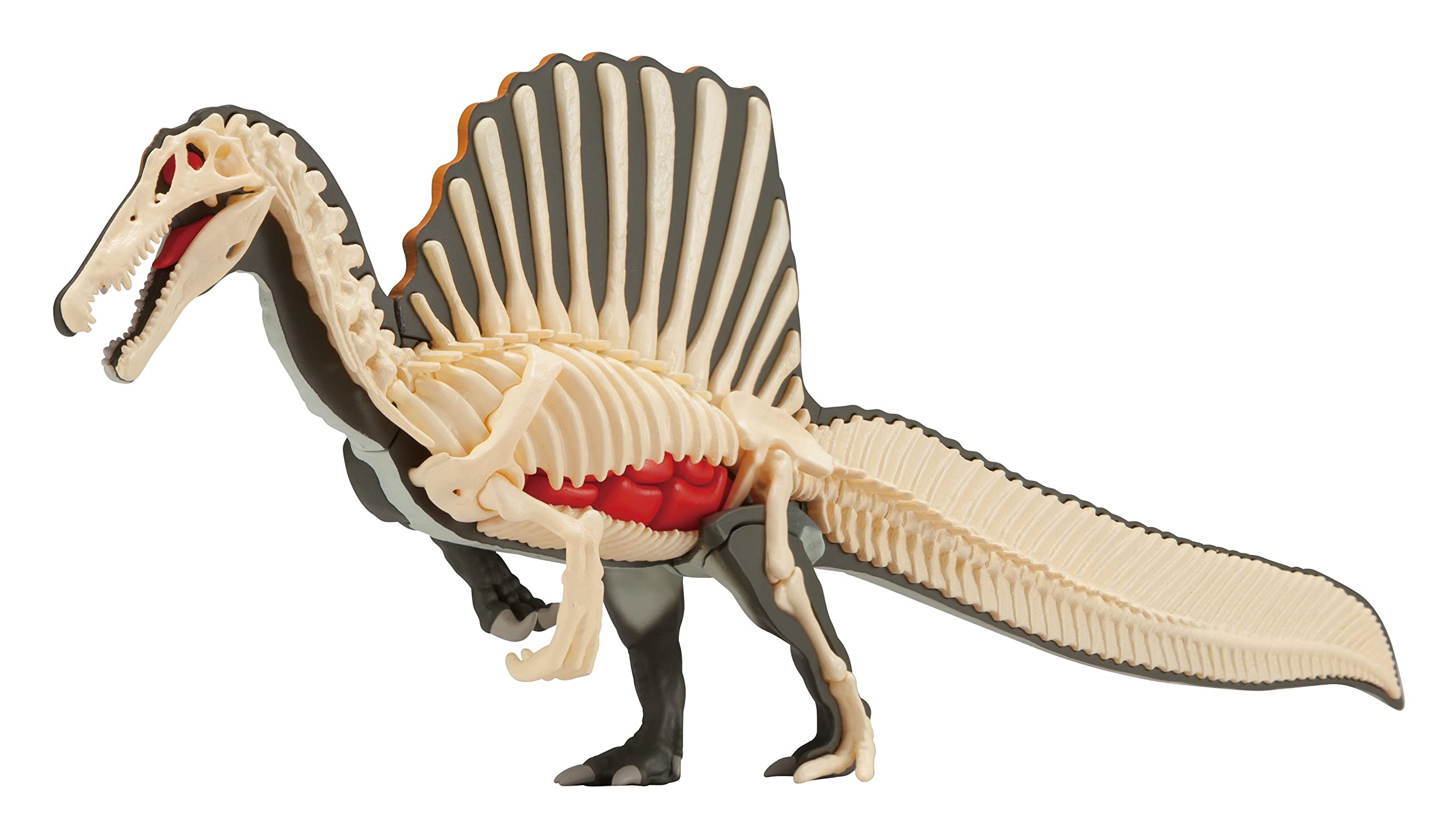 Megahouse Spinosaurus Restoration Puzzle - Made In Japan- Japan Figure Store - #1 Bring To You The Best Japanese Goods