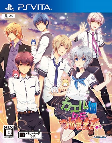 Takuyo Kaeru Batake De Tsukamaete Psvita - Used Japan Figure 4520644500033