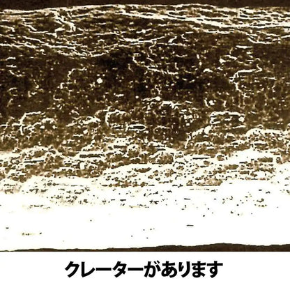 Athena Lovia 7500 Series #6 Filbert Brush- Japan Figure Store - #1 Bring To You The Best Japanese Goods