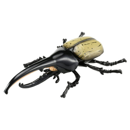 Takara Tomy Ania AS-38 Hercules Beetle Educational Toy Model- Japan Figure Store - #1 Bring To You The Best Japanese Goods