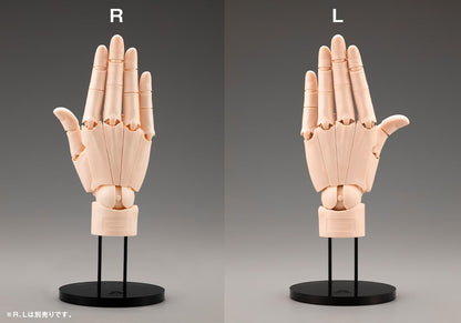 Kotobukiya Artist Support Item 1/1 Hand Model R Pale Orange- Japan Figure Store - #1 Bring To You The Best Japanese Goods